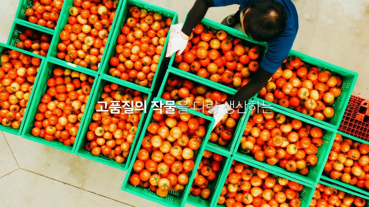 [이우필름] 옥토 앤 자인 토마토 온실 홍보 영상