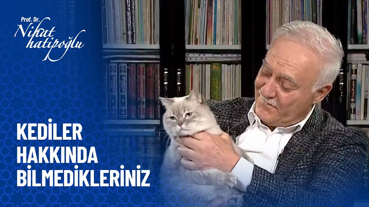 Yaratılış mucizeleri - Kediler - Nihat Hatipoğlu Sorularınızı Cevaplıyor 432. Bölüm