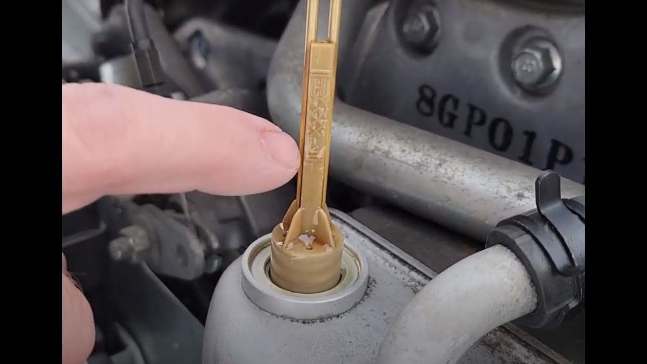 Проверка масла Yamaha Phazer
