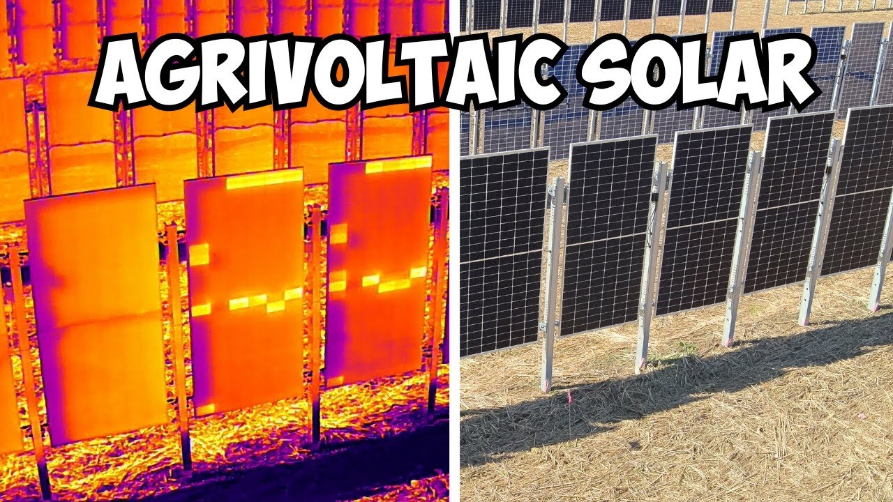 Vertical Agrivoltaic Solar Panel Drone Thermography