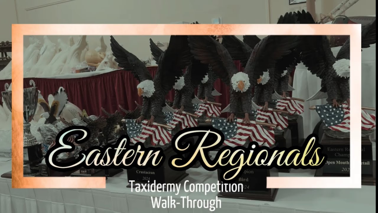 Eastern Regionals Taxidermy Competition