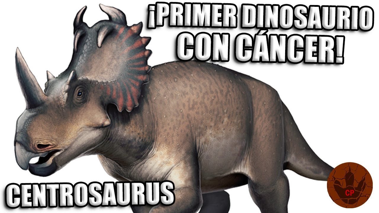 CURIOSIDADES DEL CENTROSAURUS (¿SE TIENE REGISTRO DE CÁNCER EN DINOSAURIOS?)