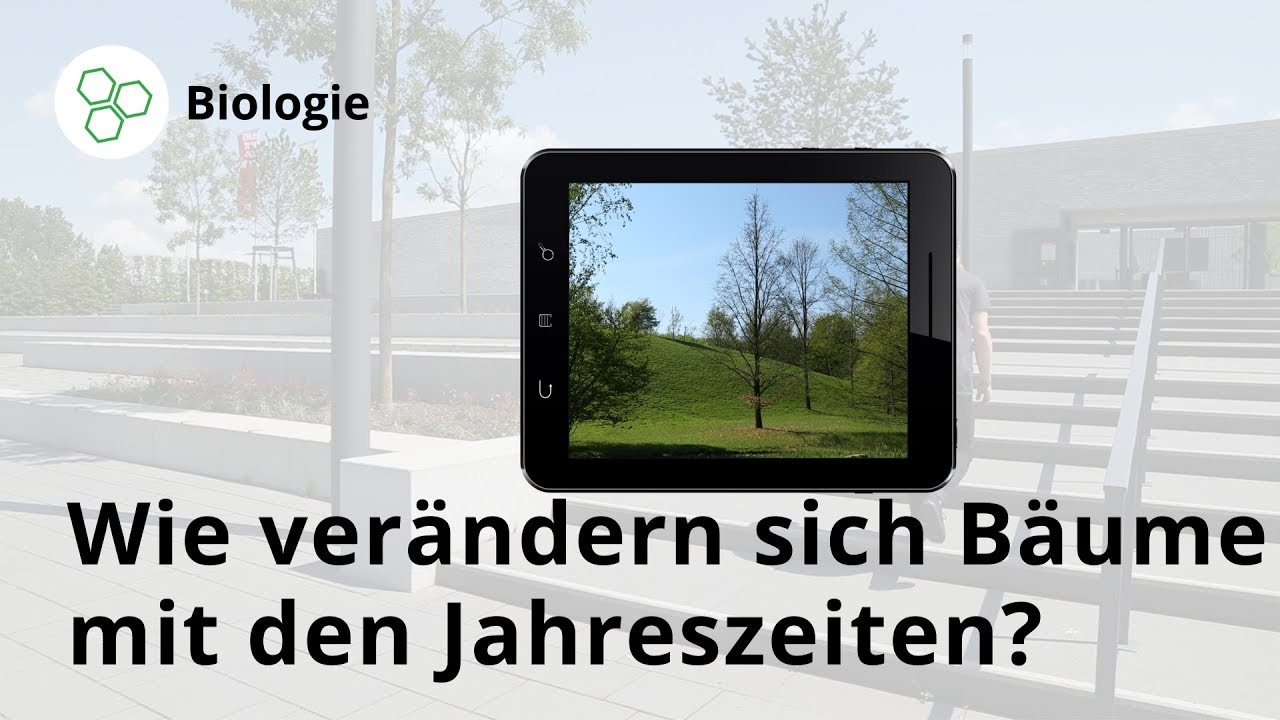 Wie verändern sich die Bäume mit den Jahreszeiten? - Biologie | Duden Learnattack