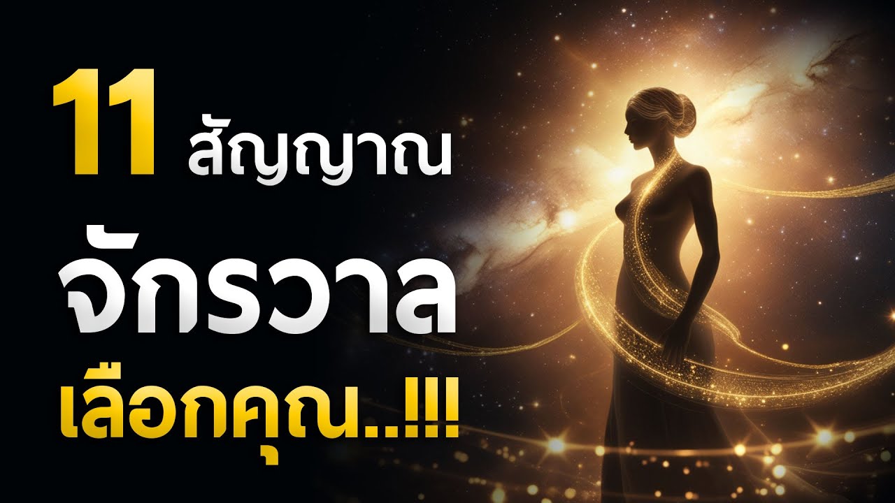 11 สัญญาณ 