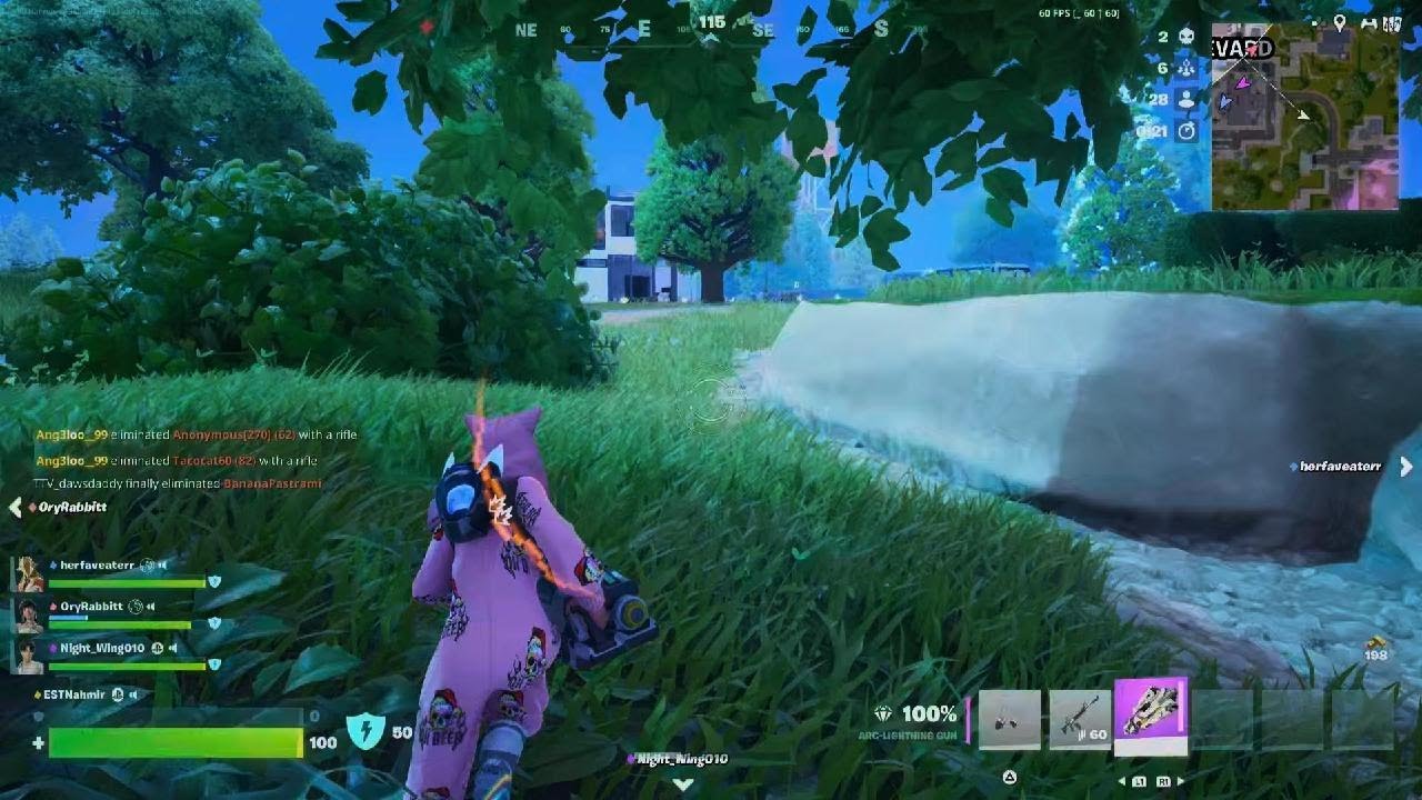 I Got Carried to a Victory Royale...