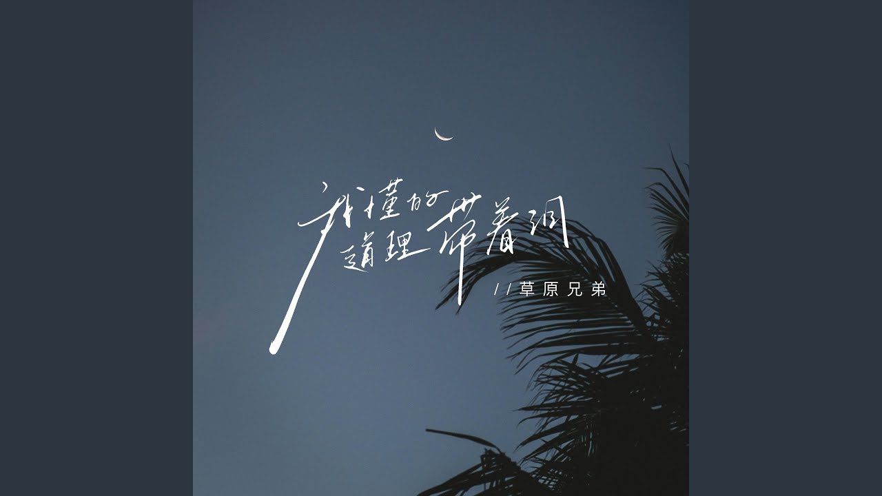 我懂的道理带着泪 (好像这心酸总在夜里翻倍)
