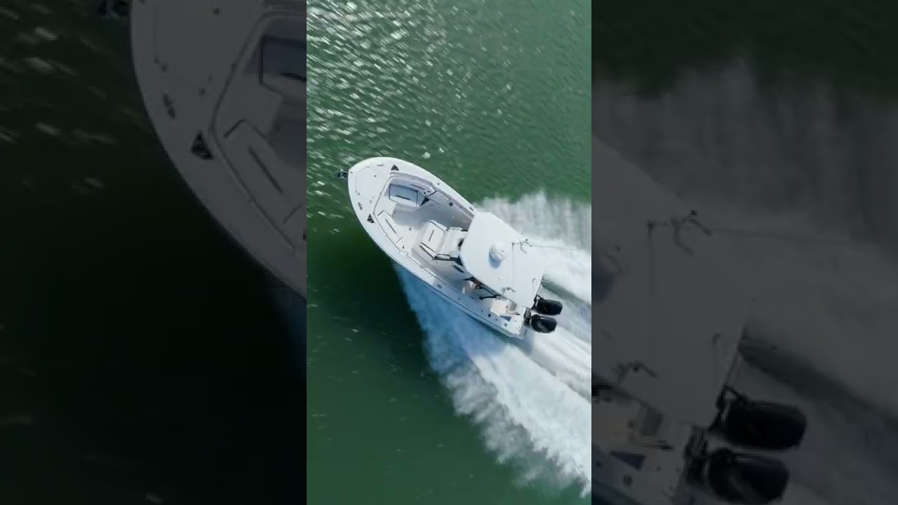 2021 Blackfin 272  #shorts
