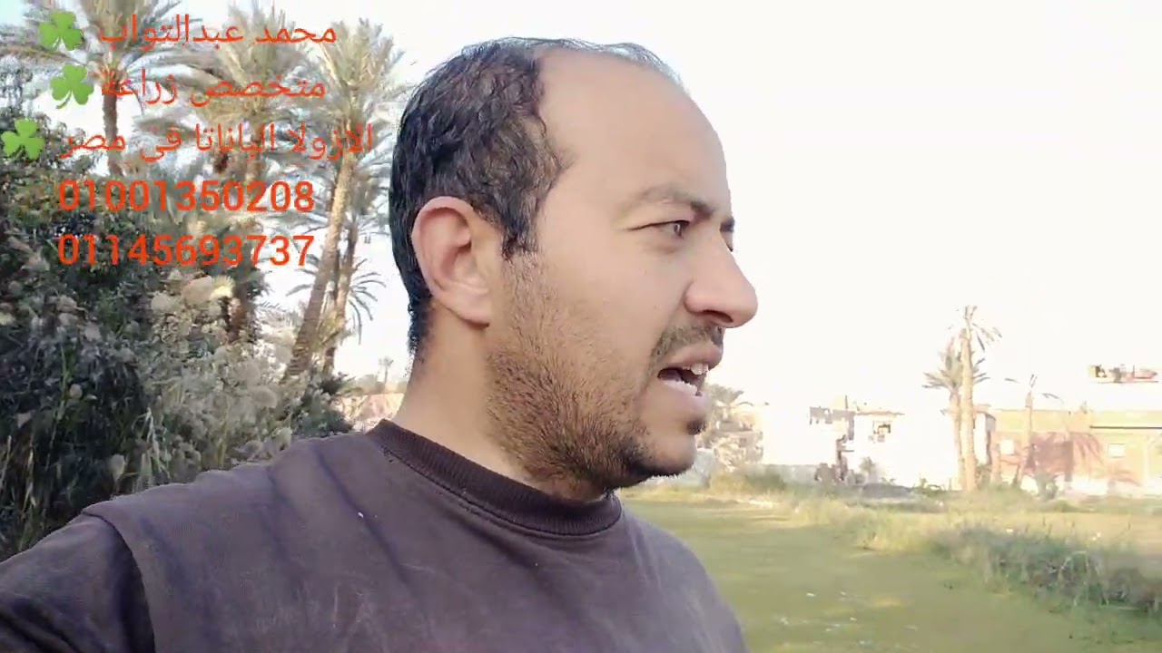 تعالى اقولك تحافظ على الازولا ☘️ فى فصل الشتاء . بخطوات بسيطة