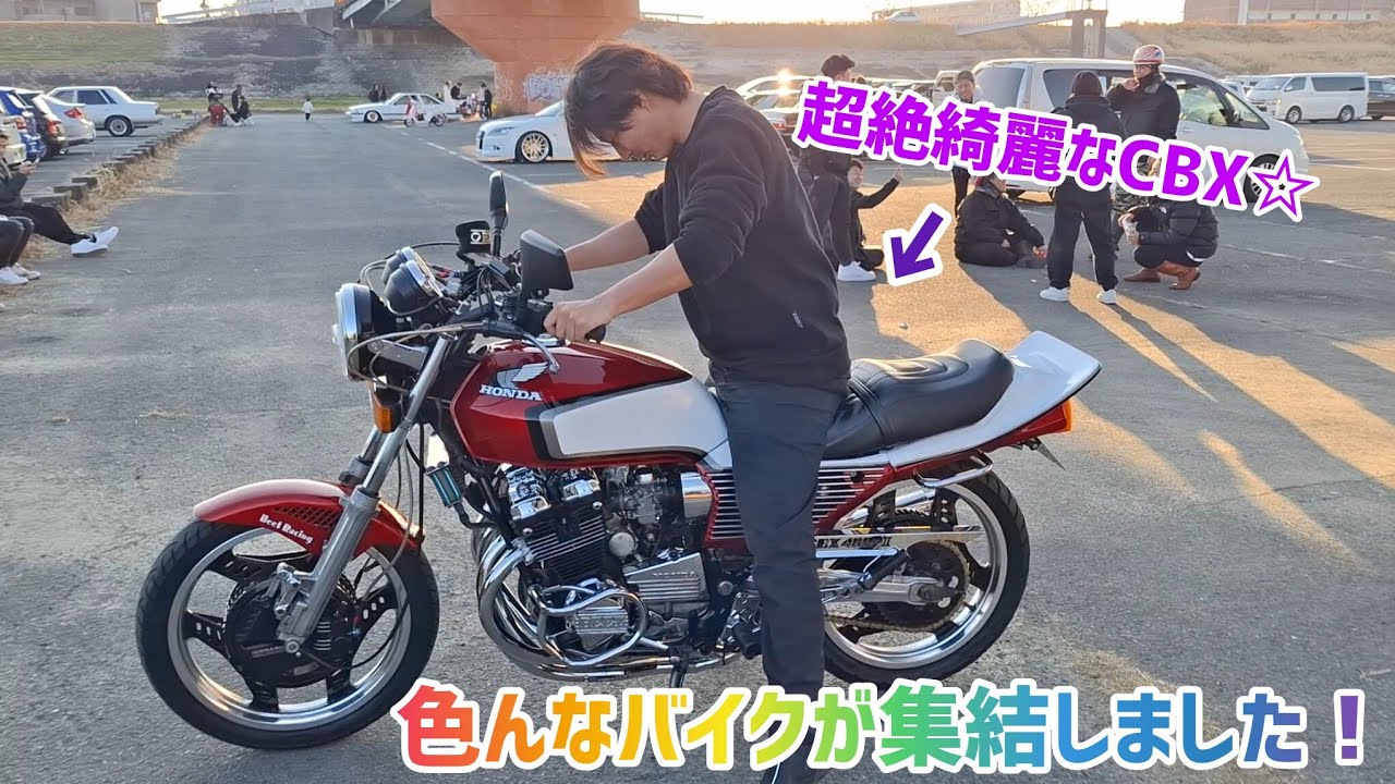 色んなバイクを見てみます！