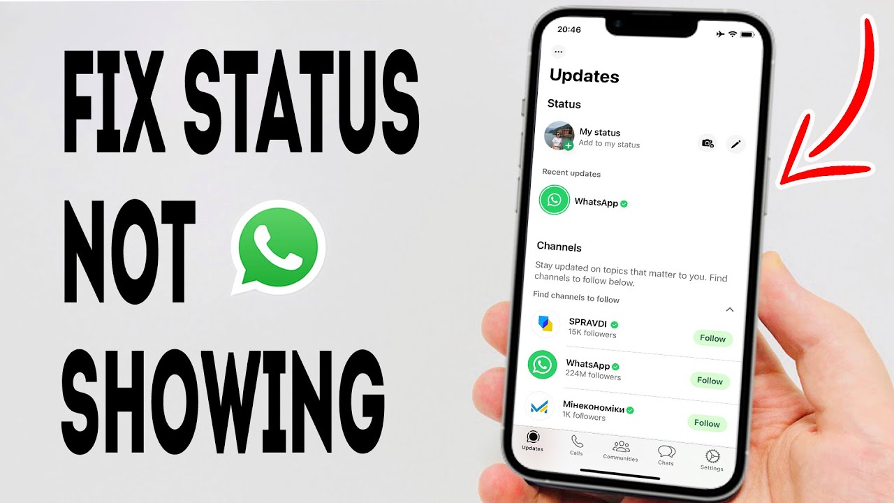 Как исправить ошибку &laquo;Статус WhatsApp не отображается на iPhone&raquo; &mdash; полное руководство
