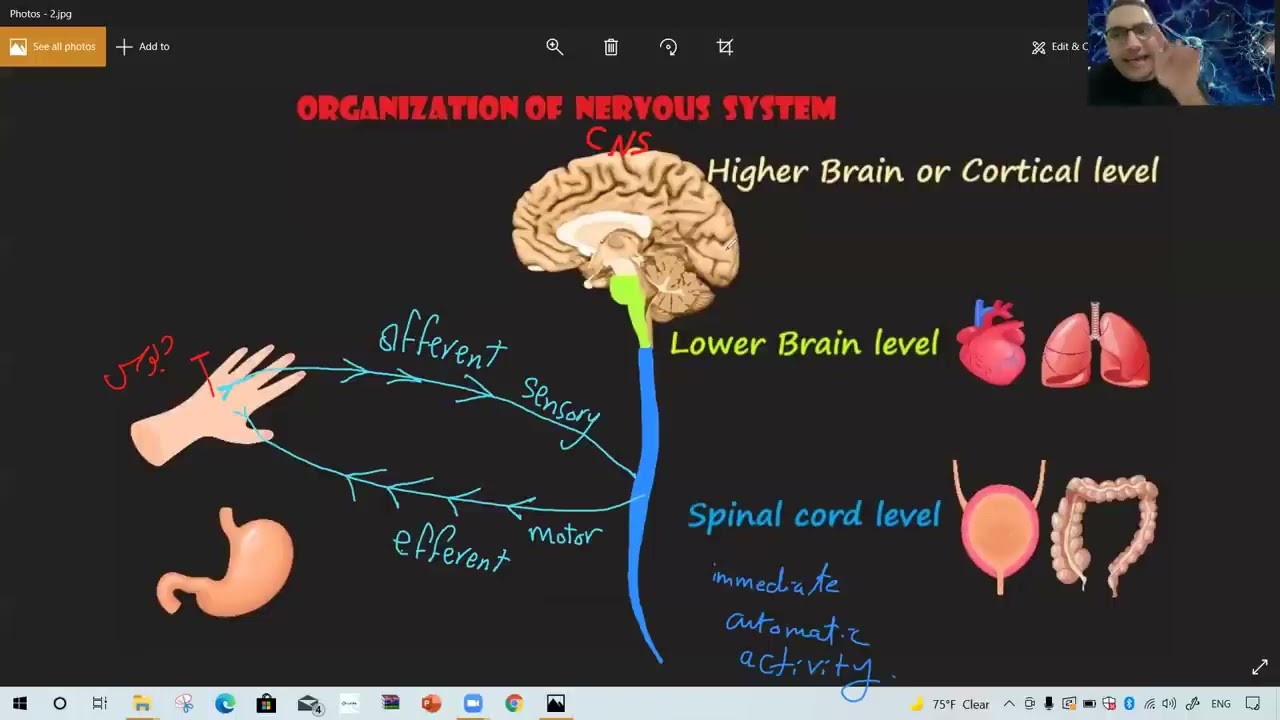 CNS Introduction - 1 (الدفعة 195)