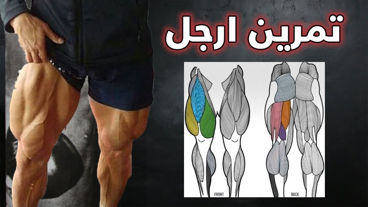 جدول تمرين كامل I تمرين الارجل