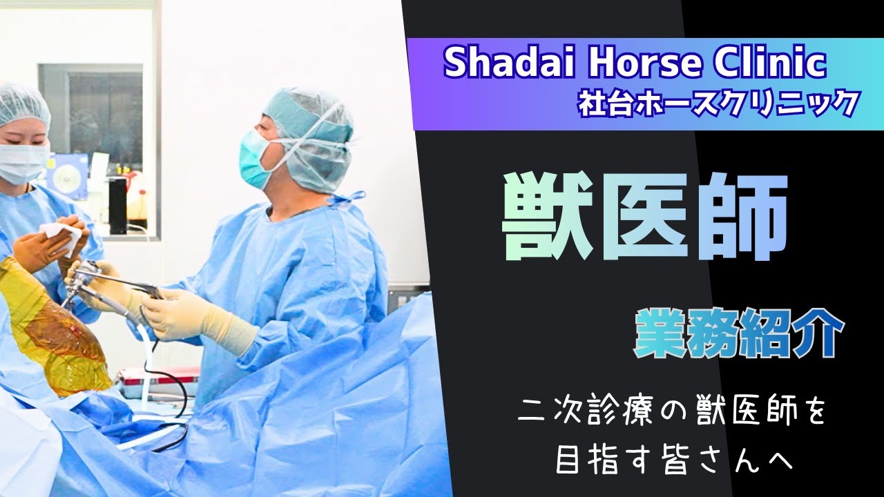 【馬の二次診療獣医師を目指す皆さんへ】～社台ホースクリニック獣医師の業務とは～