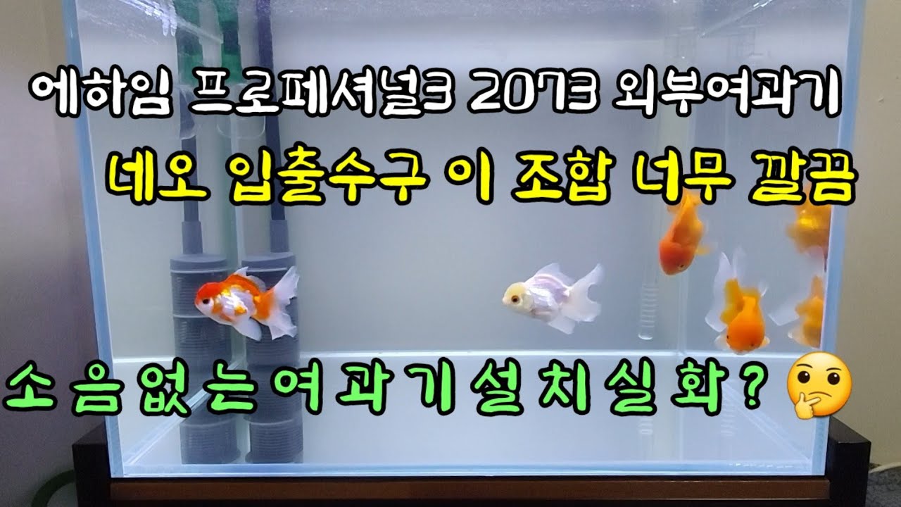 에하임 프로페셔널3(에하임 2073), 네오입출수구 세팅하기(소음없는 여과기 선택, 입출수구 교체) 오란다 수조 Eheim professional3