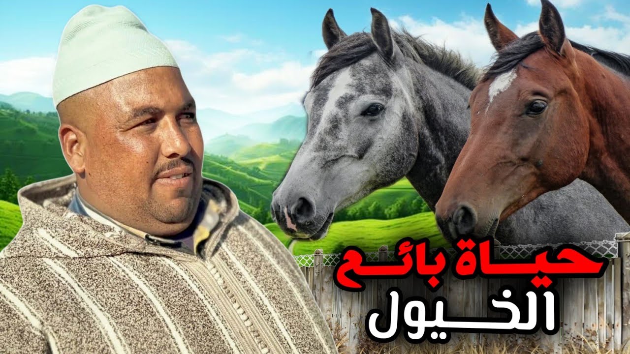 أسرار بائع الخيول رحلة إلى قلب السوق