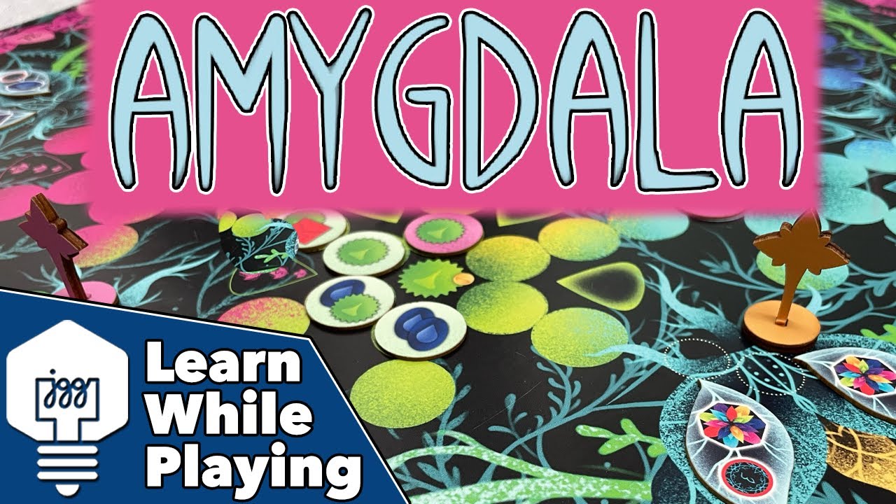 Amygdala - Learn While Playing!