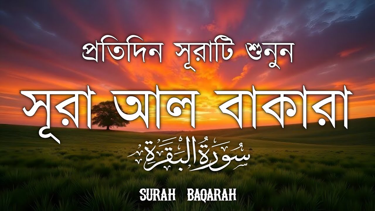 ঘরের উন্নতির জন্য সূরা বাকারা প্রতিদিন শুনুন I Surah Al Baqarah Full Quran Recitation | Alaa Aqel