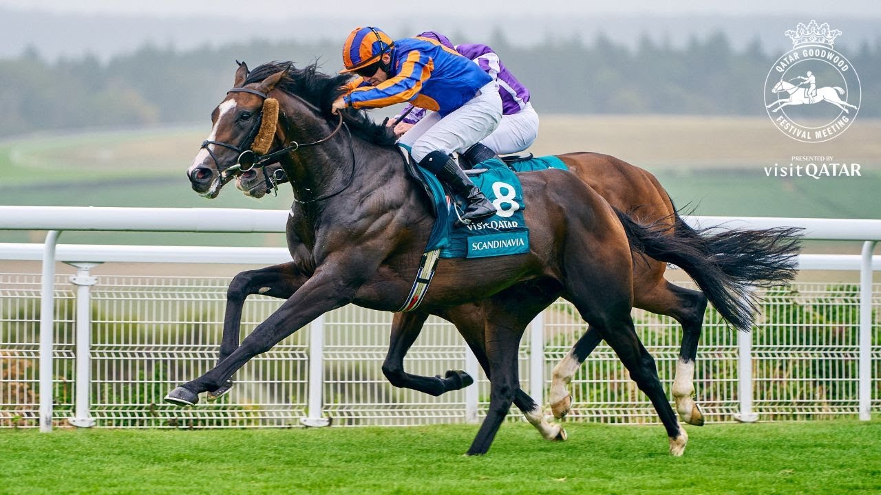 Scandinavia victorious in the Al Shaqab Goodwood Cup Stakes at Qatar Goodwood Festival