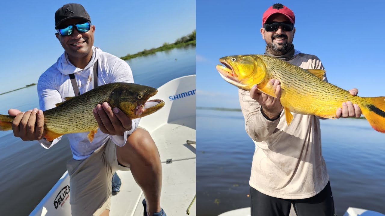 INCREÍBLE PESCA DE DORADOS - PUERTO ARAGÓN