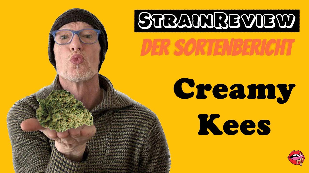 Der medizinische Sortenbericht - Creamy Kees No.5