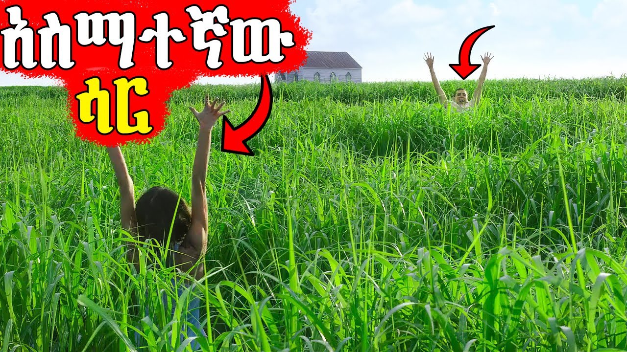🔴እዚህ ሳር ውስጥ የገባ በህይወት አይወጣም | Mert Films - ምርጥ ፊልም