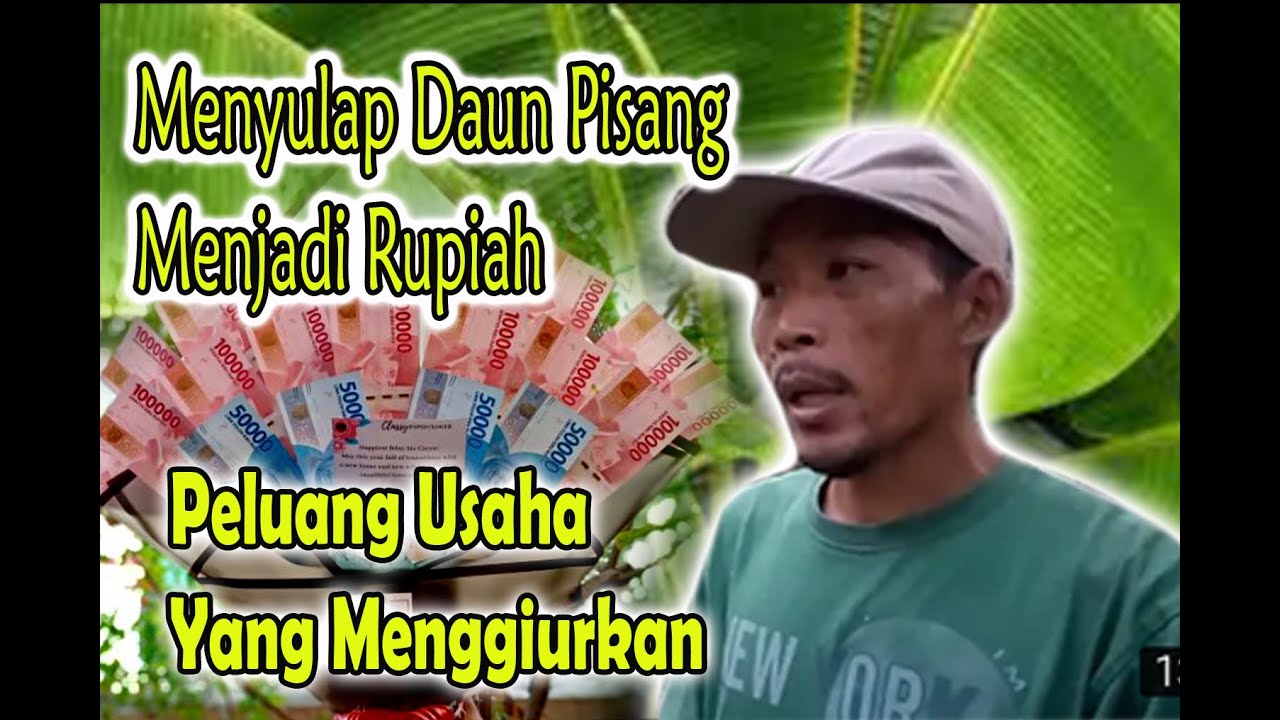 Wira usaha daun pisang batu di wilayah kecamatan tunjung teja