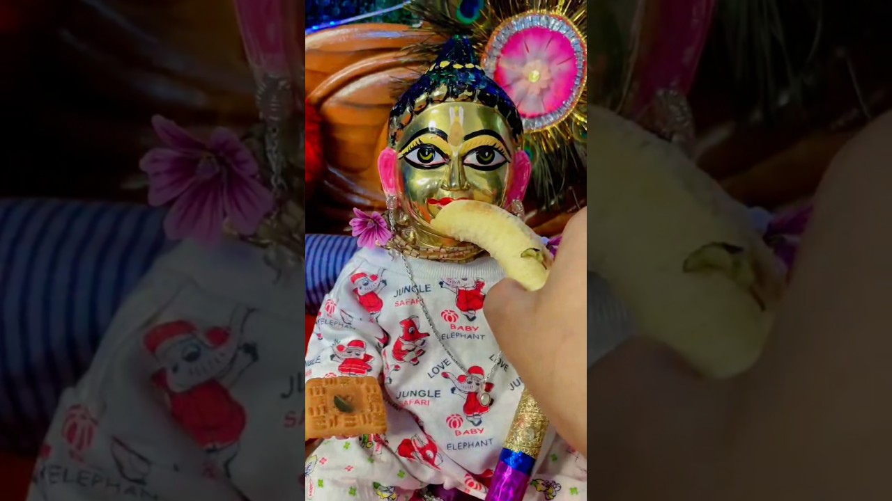#gopalseba #gopo #shyam #gopal #mayapuriskon💫❤️ #🙏❤🙏 #shortvideo #shorts