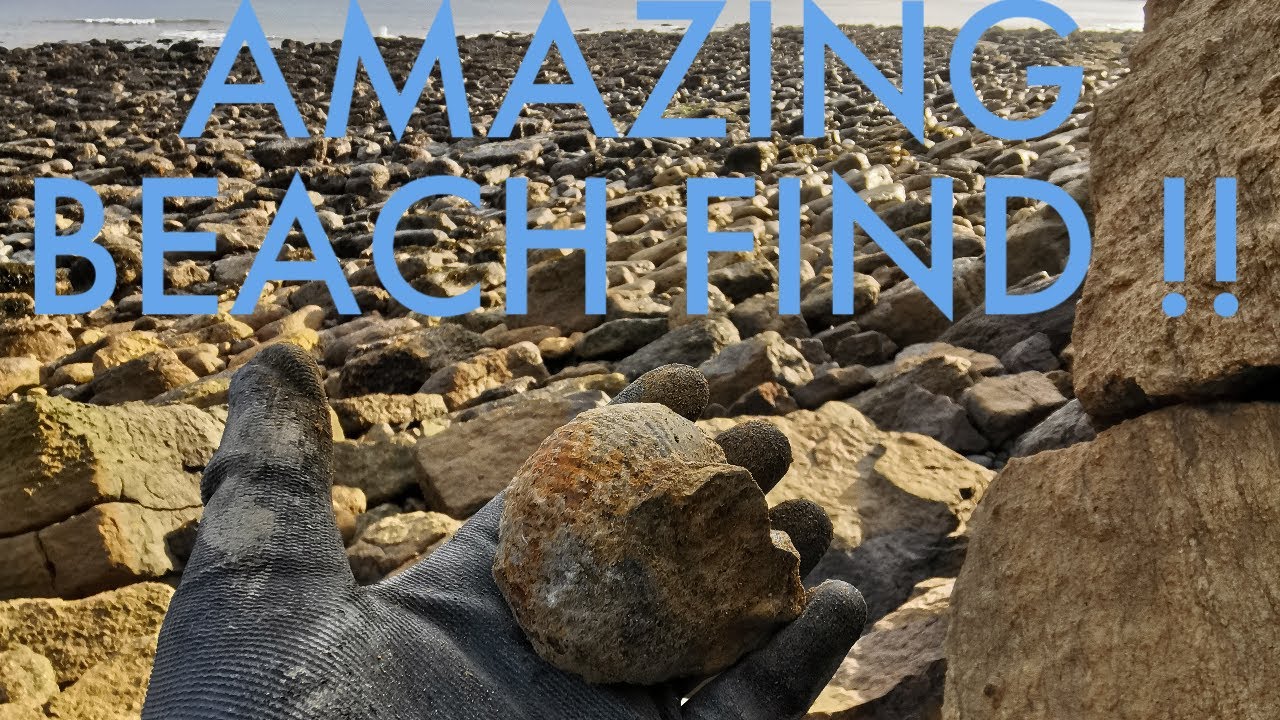 MY BEST TRIP OF 2022 SO FAR ! Fossil hunting Yorkshire