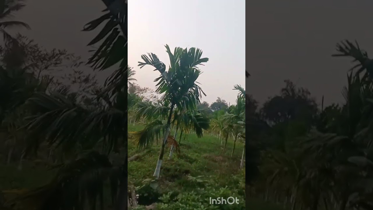 #ಕಾವ್ಯತೋಟ ಅಳದಂಗಡಿ ವಚನಾಮೃತಗಳು*