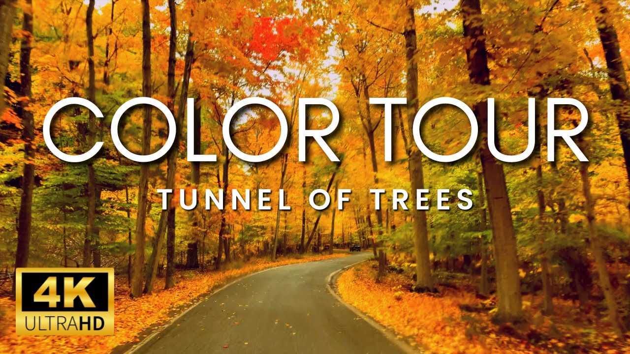 WORLD FAMOUS Tunnel Of Trees in Harbor Springs, Michigan | Scenic Fall Drive with Car & Rain Sounds