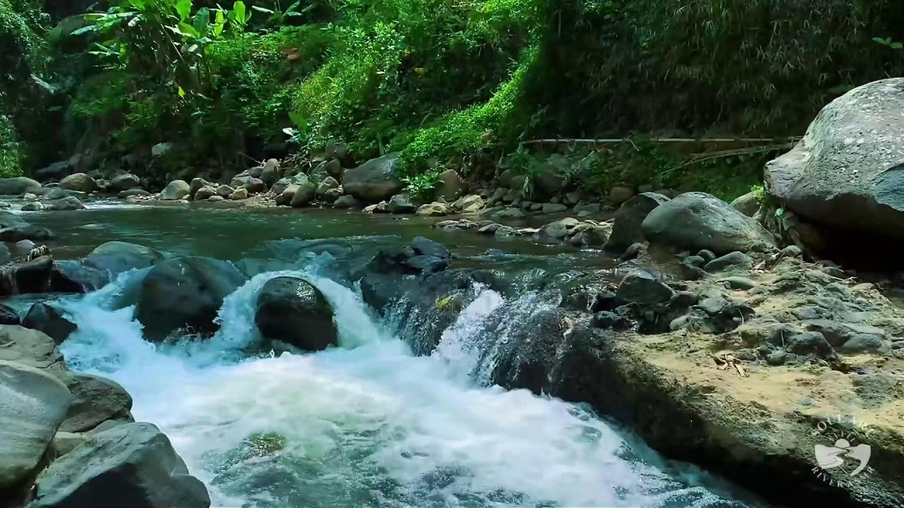 River Sounds & waterfall Sounds for Sleeping | Nature Stream for Relaxing & Stress Relief. #river 5