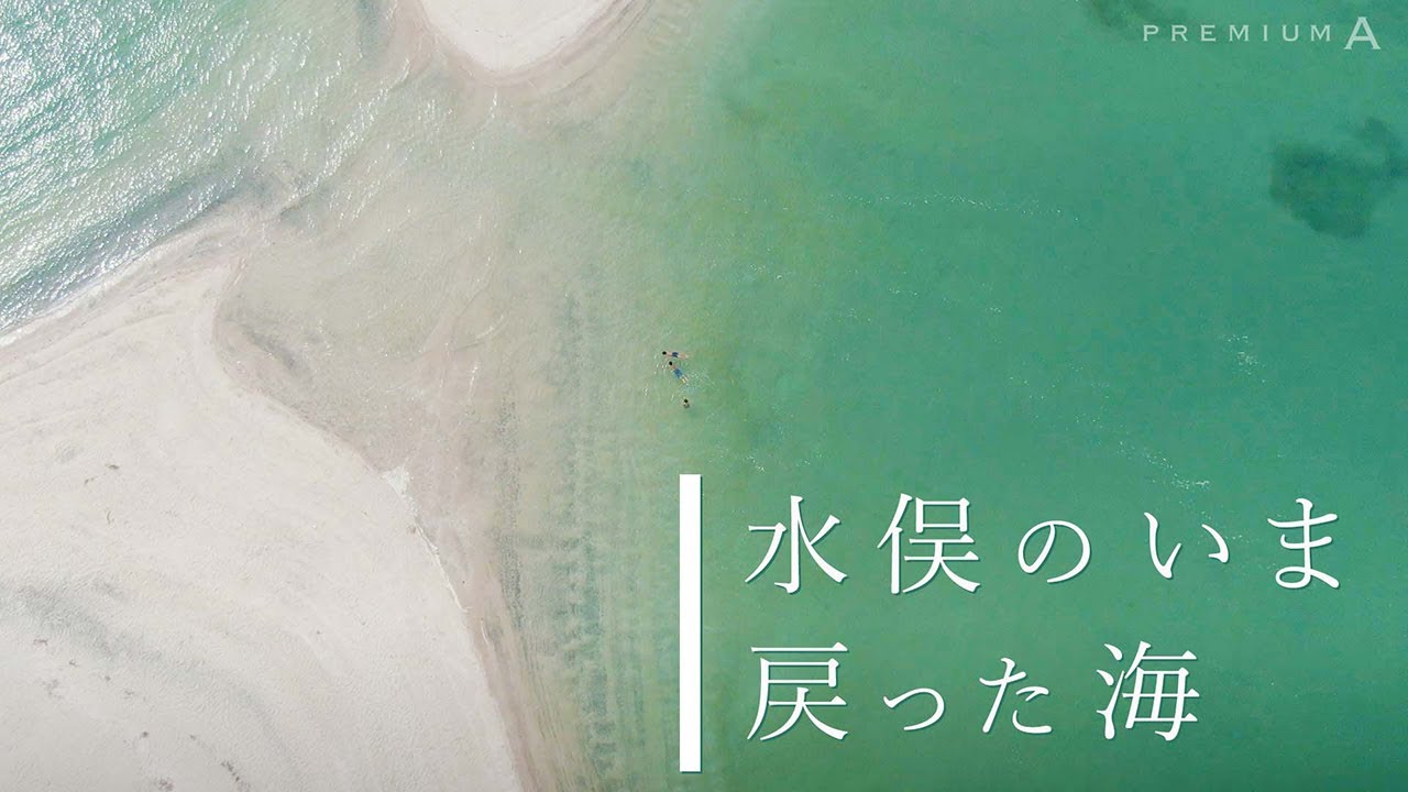 【ドローン映像】水俣の「いま」戻った海、残った爪痕【MINAMATA】