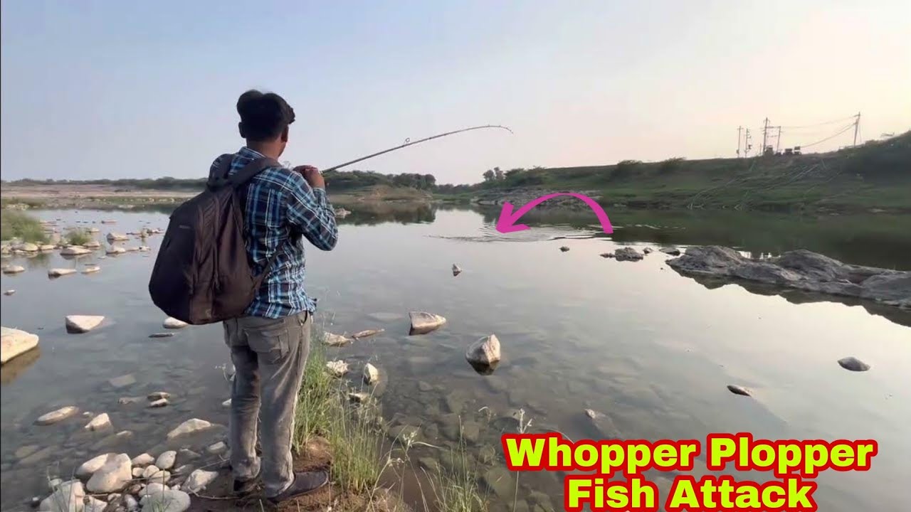 Whopper plopper fish |Attack Snakehead fishing fisherman catch murrel fish
