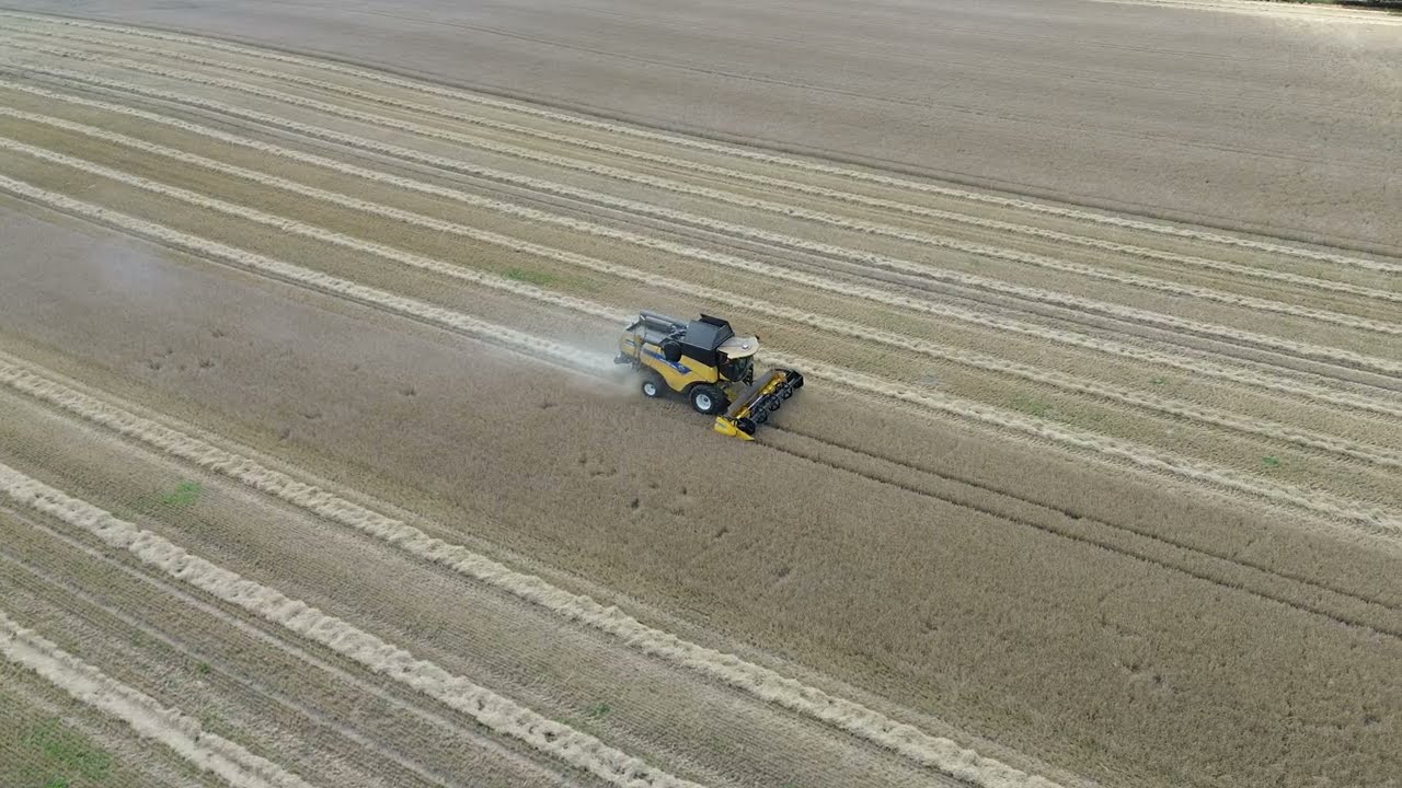 Golden Harvest from Above | Rare Whirling Hay Devil