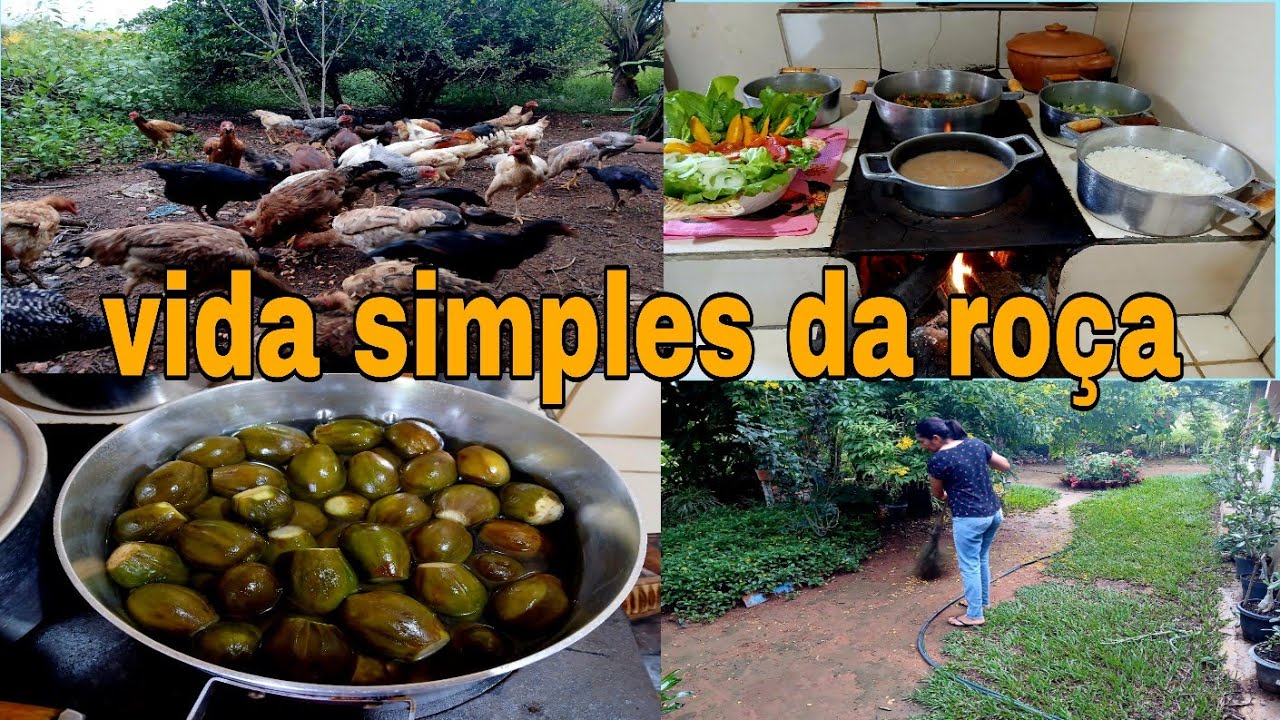 A VERDADEIRA DONA DO LAR RAIZ FIZ CONSERVA DE JOLO