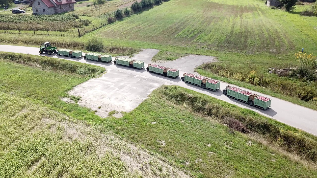 Transport jabłek z sadu