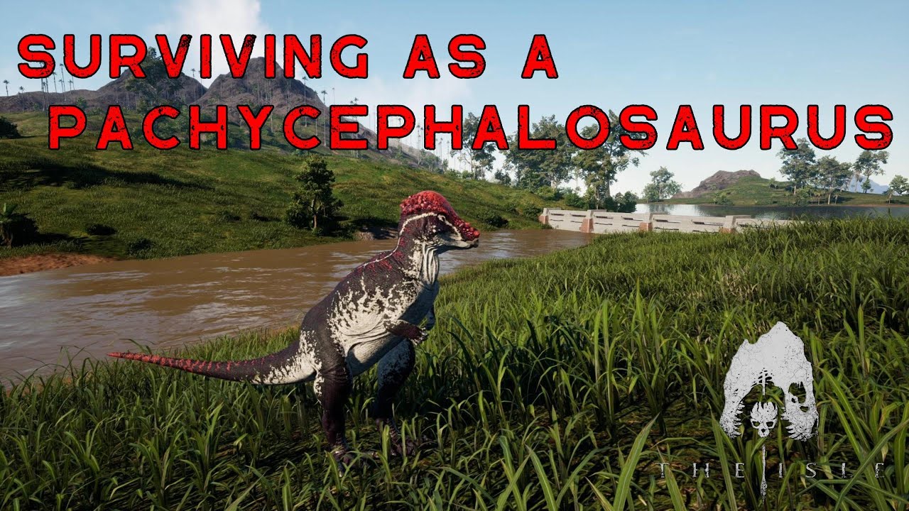 Surviving as a Pachycephalosaurus on the Official Servers | The Isle: Evrima