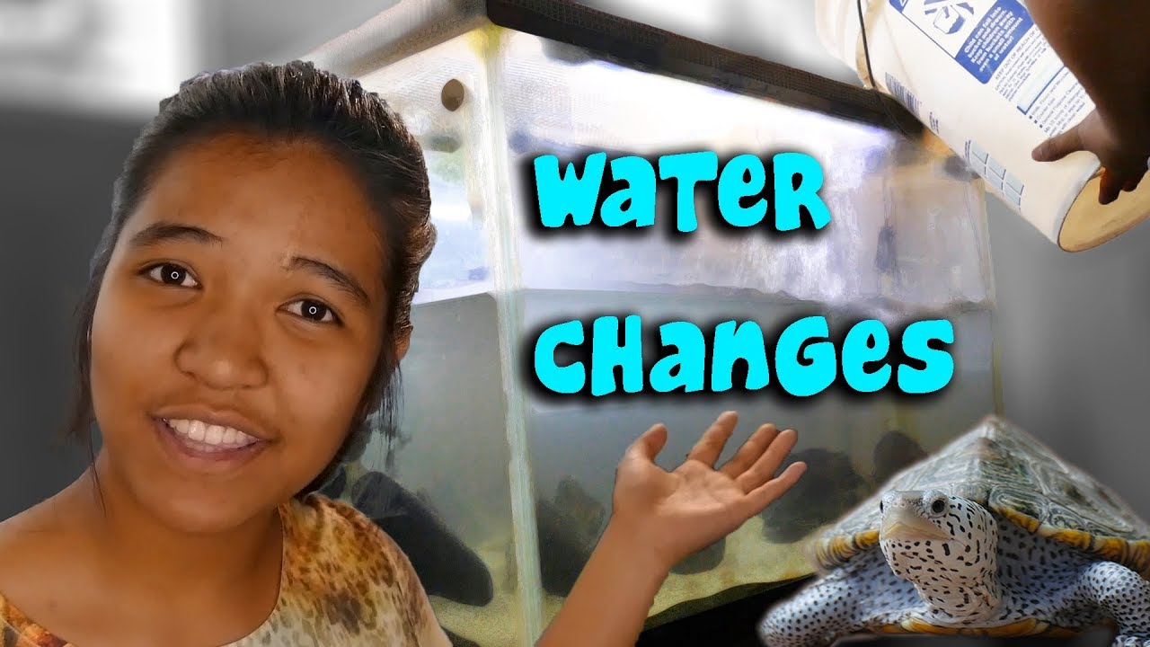 CLEANiNG MY TURTLE TANK - fish tank maintenance
