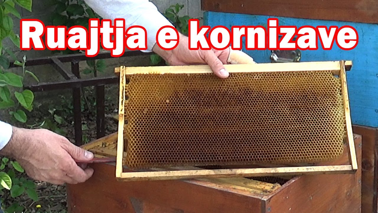 🔴Episodi 32: Si ti ruajm kornizat gjatë dimrit