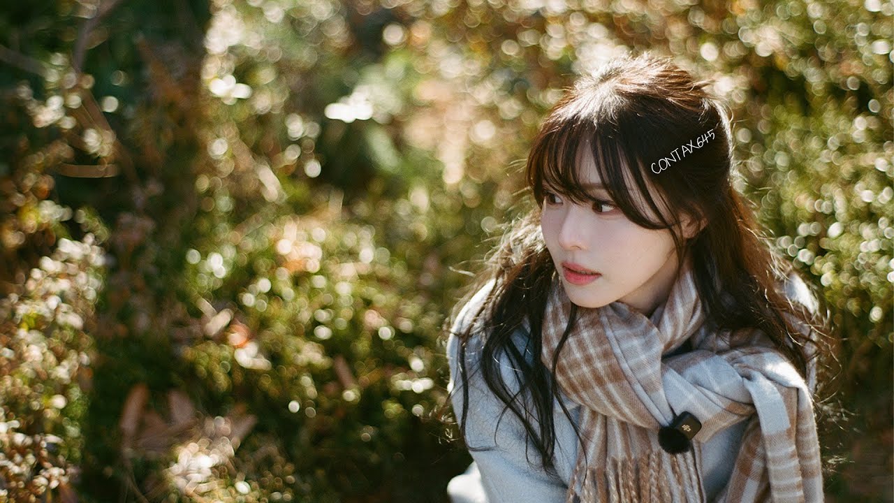 전설로 남은 카메라