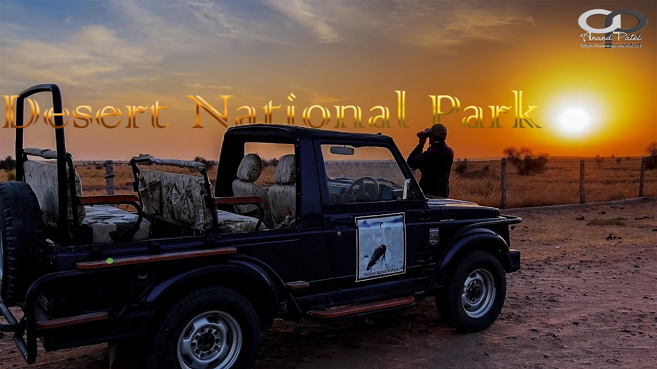 Desert National Park ll Part 2  ll Desert National Park, Rajasthan - India
