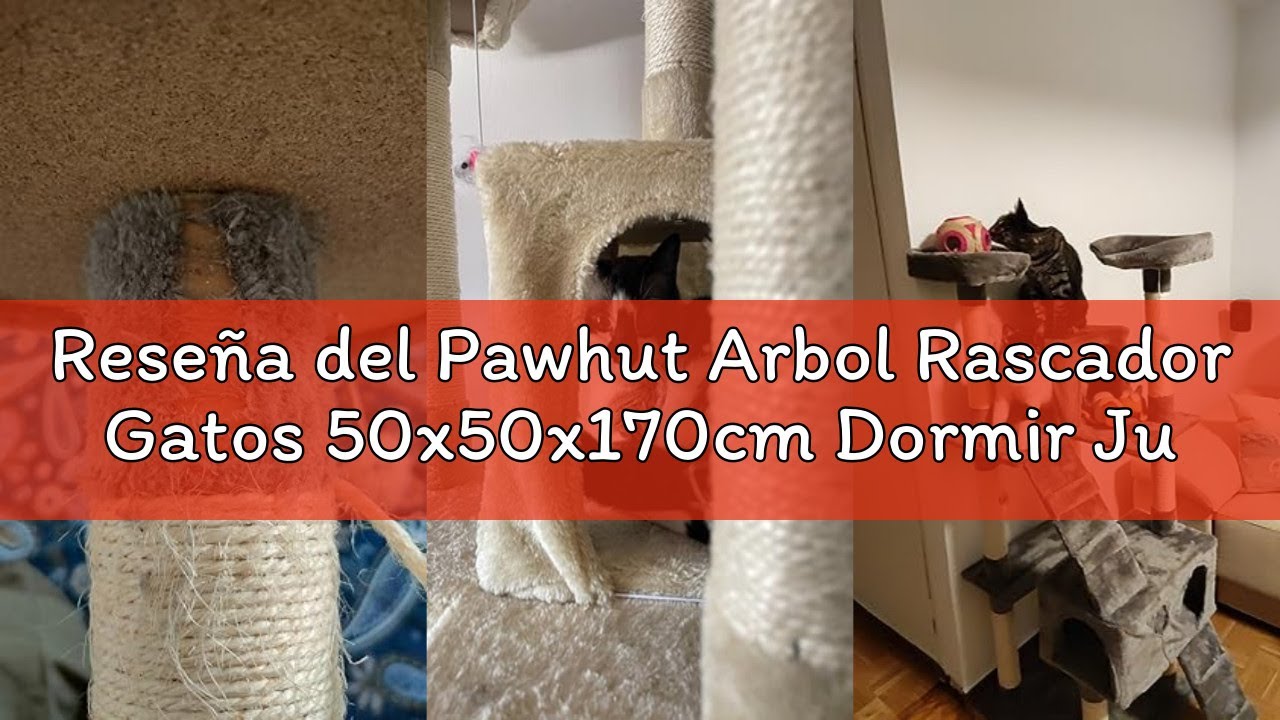 Reseña del Pawhut Arbol Rascador Gatos 50x50x170cm Dormir Jugar Centro Actividades Arañar Gris NUE (