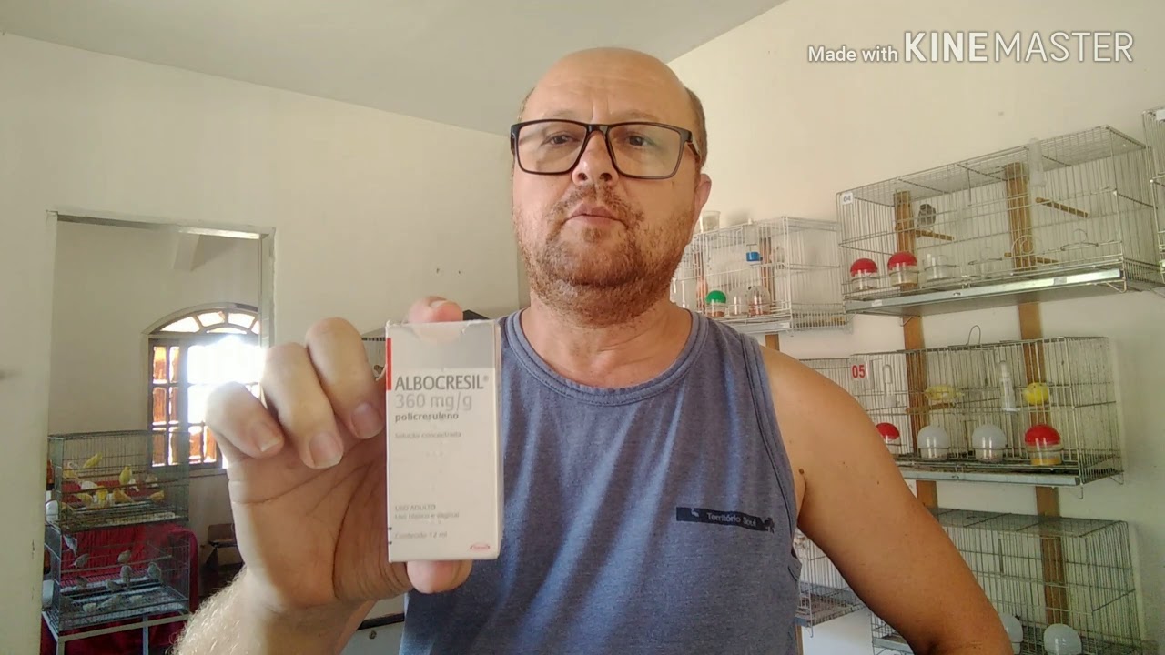 Tratamento de Cisto de pena, pena incroada.(Canaril Capitão)