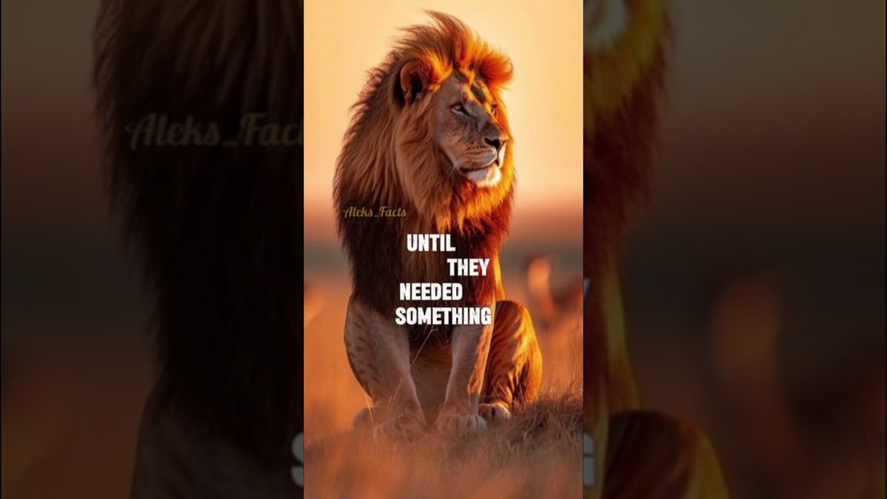 my life #edit #motivation #emotional #life #lifeadvice #fyp #foryou