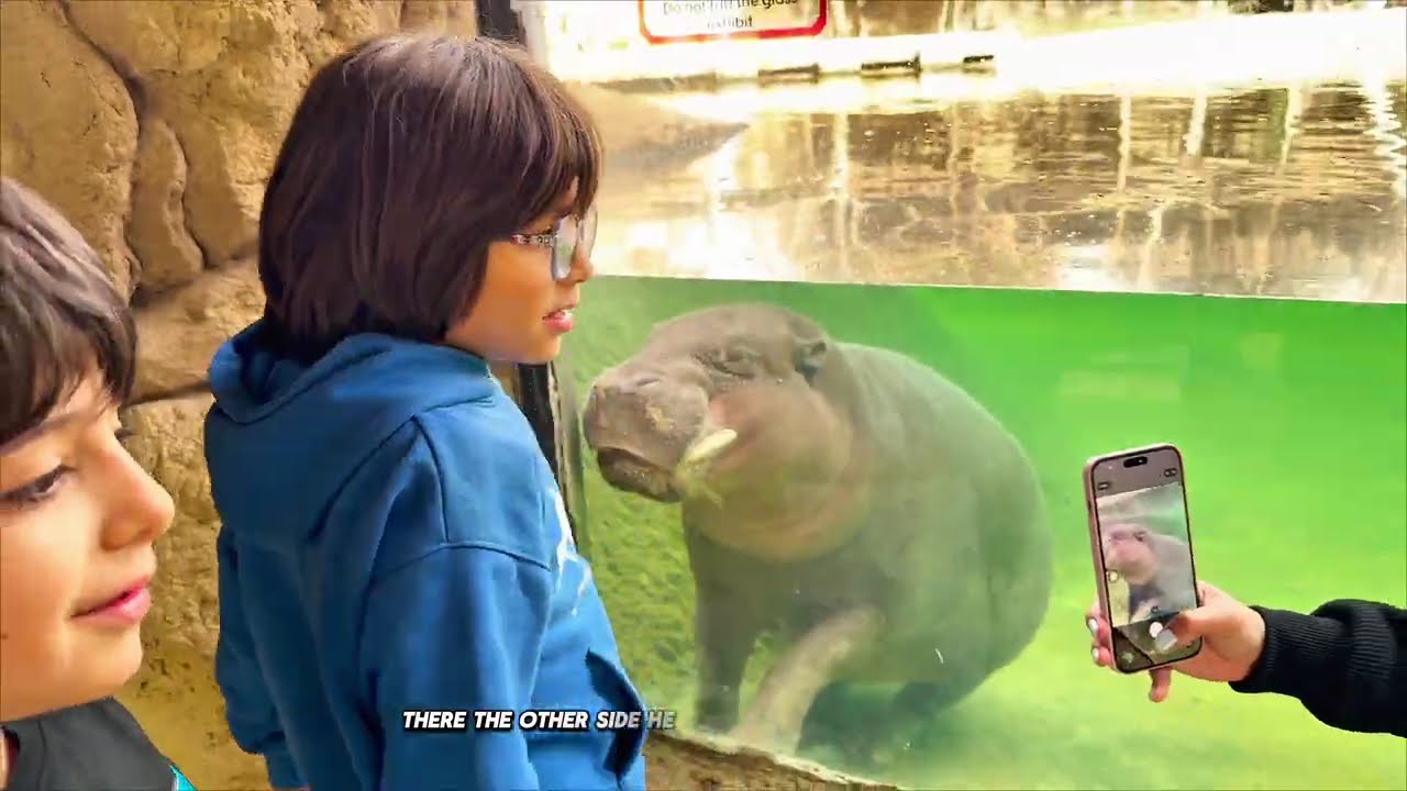 Dubai Safari & Zoo Full Tour 2026 | Dubai's Largest Wildlife Park over 2,500 animals  (4K HDR Video)