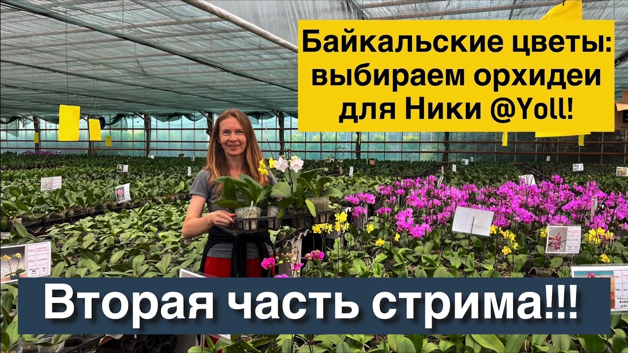 Основная часть стрима!!! ОГОНЬ!🔥🔥🔥