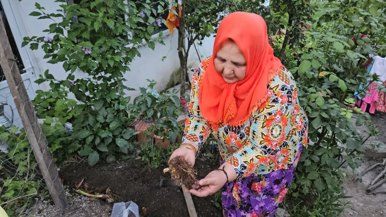 NE EKERSE ONU BİÇERSİN‼️BAHÇEM GÜZELLEŞTİ🌸🌺🌹🥰