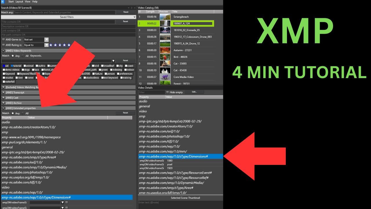 Quick 4-minute tutorial: Master XMP metadata in Fast Video Cataloger!