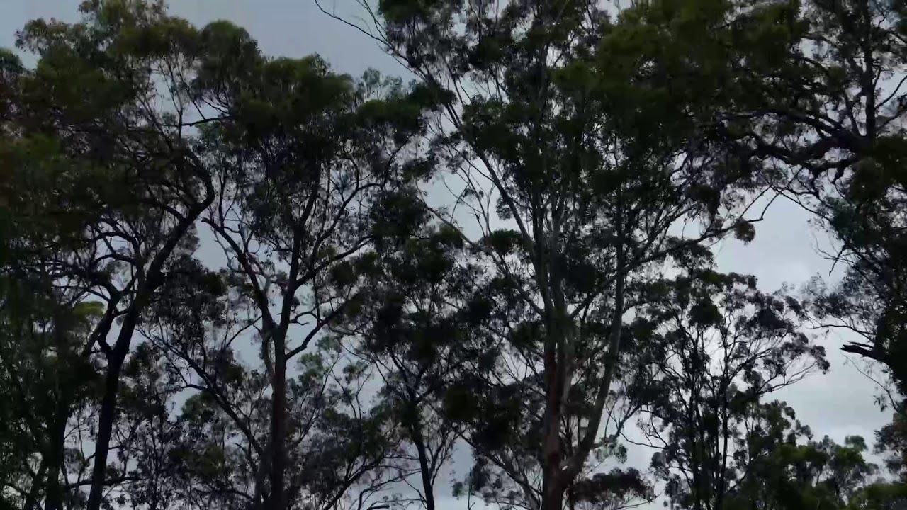 4 Drones: DJI Neo,Mini SE, Mini 3 & Mini 5 Pro Queensland & Northern New South Wales Australia