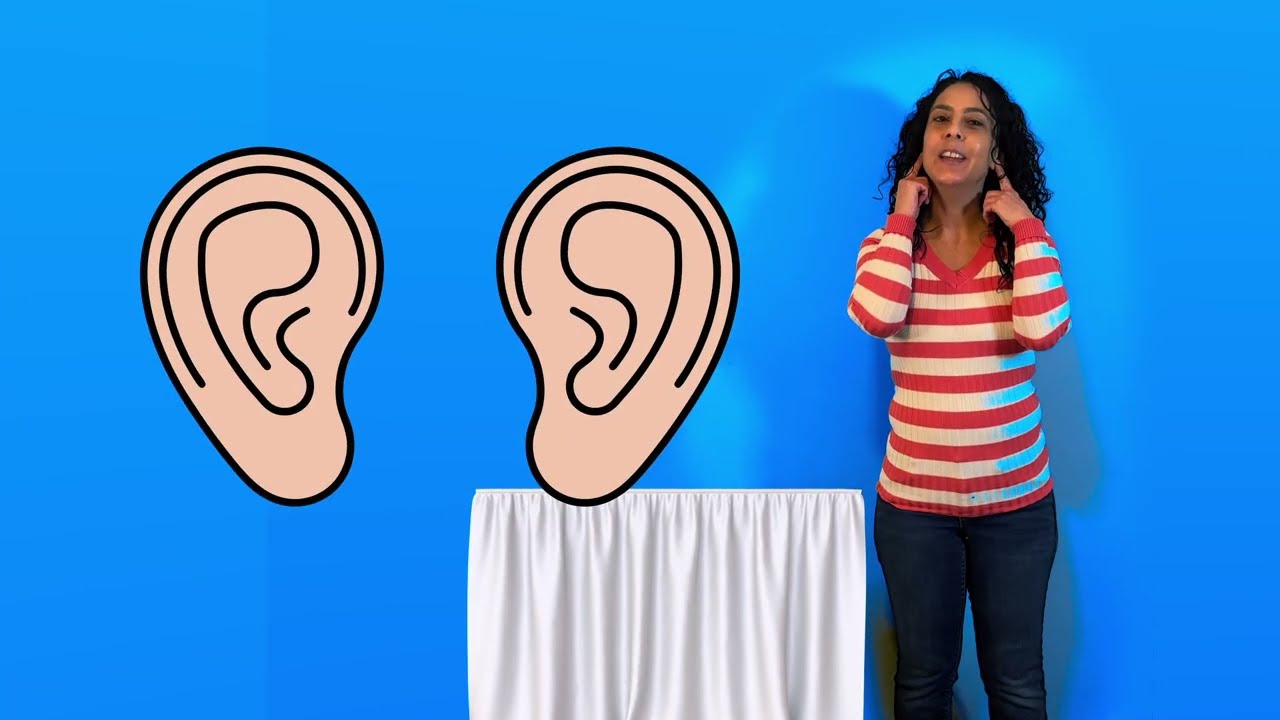 My 5 Senses! Learning Senses for Little Ones